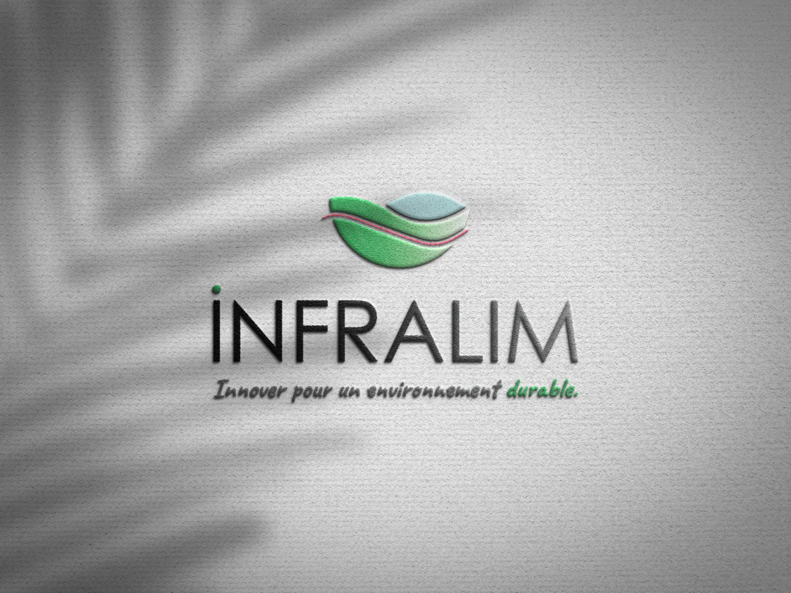 Identité visuelle - Infralim